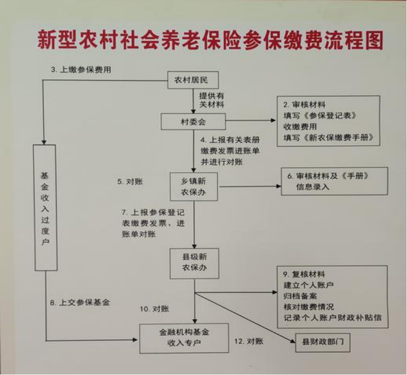 贵港农村医保和社保有什么区别(农村医保跟社保的区别)